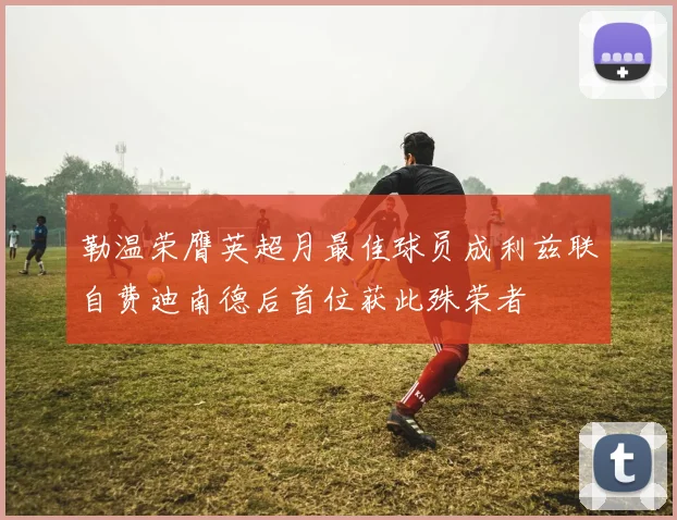 勒温荣膺英超月最佳球员成利兹联自费迪南德后首位获此殊荣者