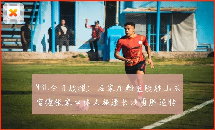 NBL今日战报：石家庄翔蓝险胜山东蜜獾张家口体文旅遭长沙勇胜逆转