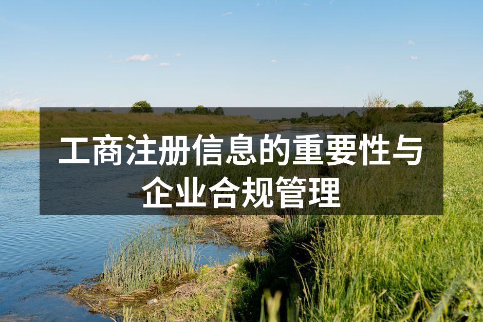 企业工商注册流程示意图